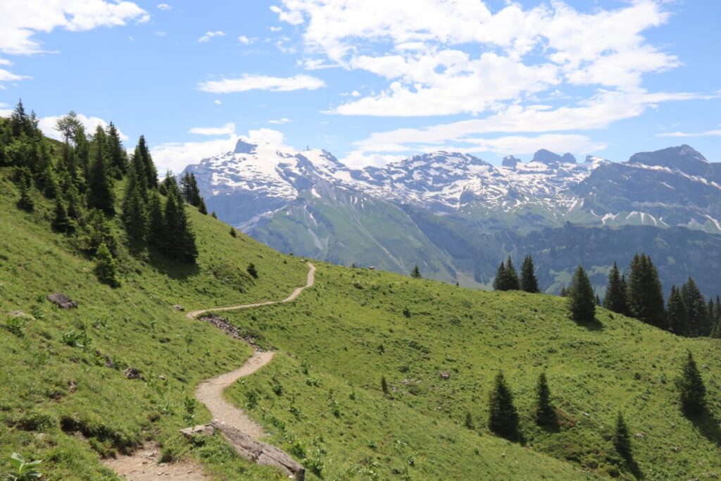 Neue Wege mit neuer Website Bergweg im Sommer mit Blick auf verschneite Gipfel – Symbol für Aufbruch und neue Wege