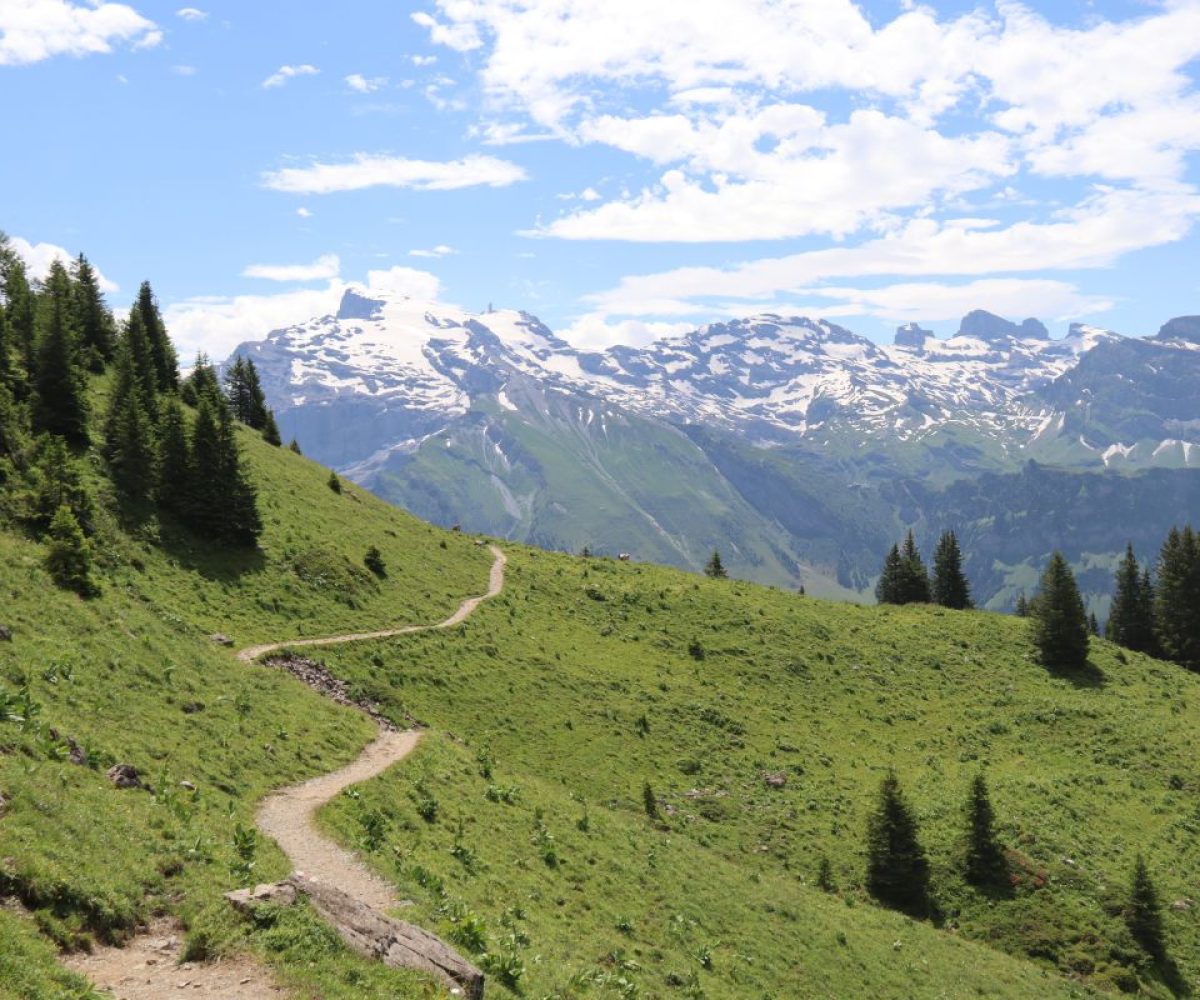 Bergweg im Sommer mit Blick auf verschneite Gipfel – Symbol für Aufbruch und neue Wege