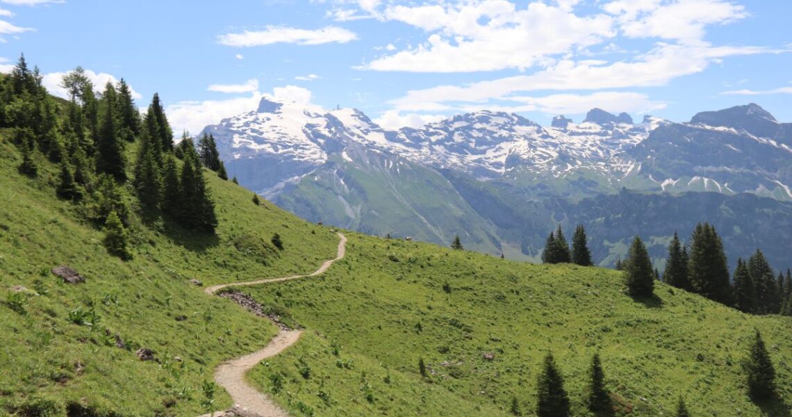 Bergweg im Sommer mit Blick auf verschneite Gipfel – Symbol für Aufbruch und neue Wege