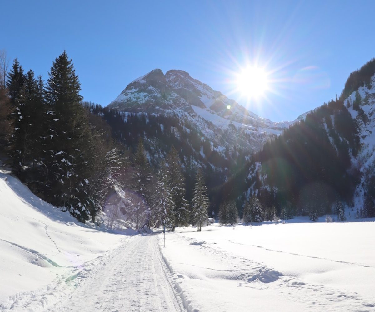 Winterwanderweg - Optimierte Website